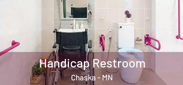  Handicap Restroom Chaska - MN