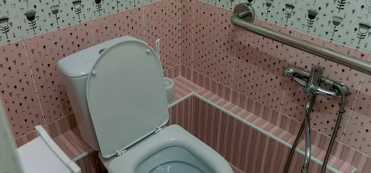 Meeting Diverse Needs With Accessible Restroom Solutions in Chaska, MN